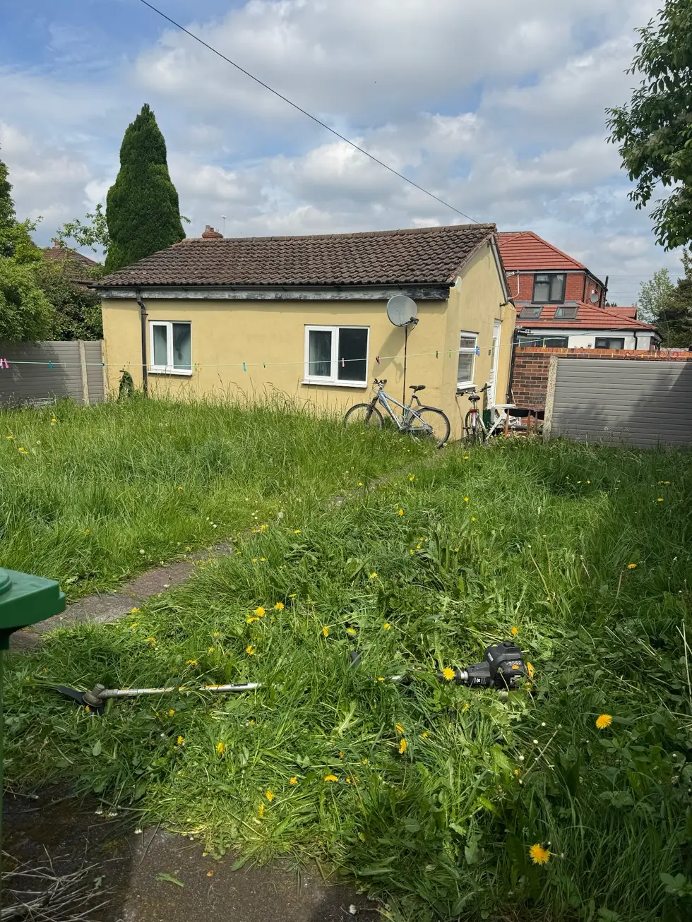 Before — an overgrown Manchester back garden with long grass, weeds and dandelions